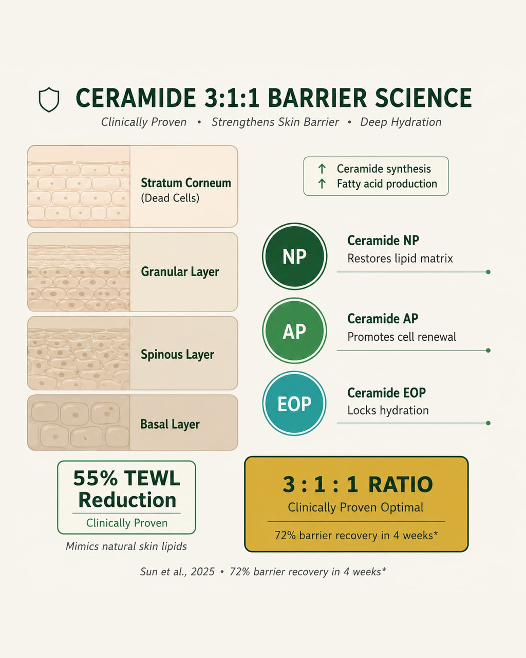 Barrier Repair Moisturizer